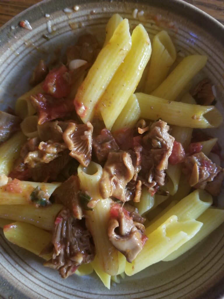 Chanterelle and Tomato on Pasta