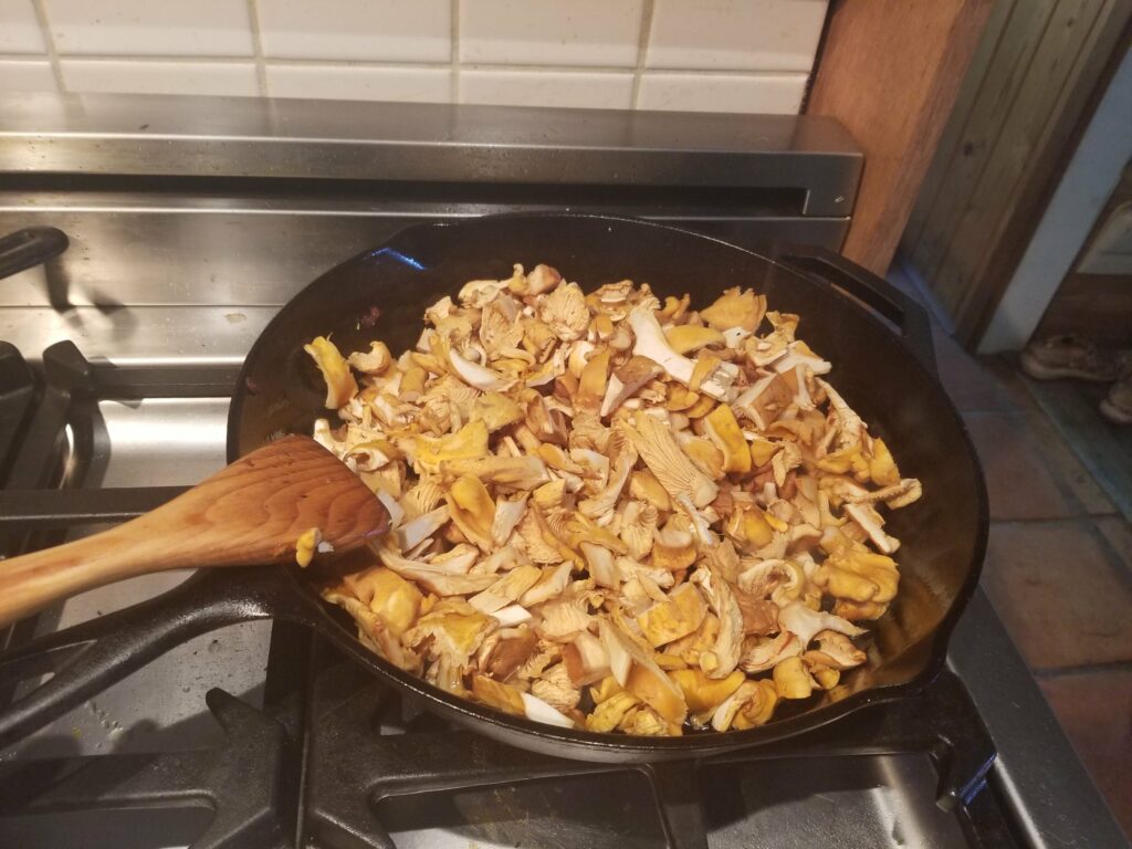 Fresh chanterelles sauteeing